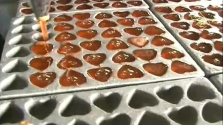 راحة من الفواكه كيف تصنع 