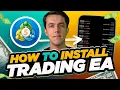 How to install EA Expert Advisor on MT5