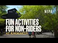 Fun Activities for Non-Riders at Knoebels Elysburg PA