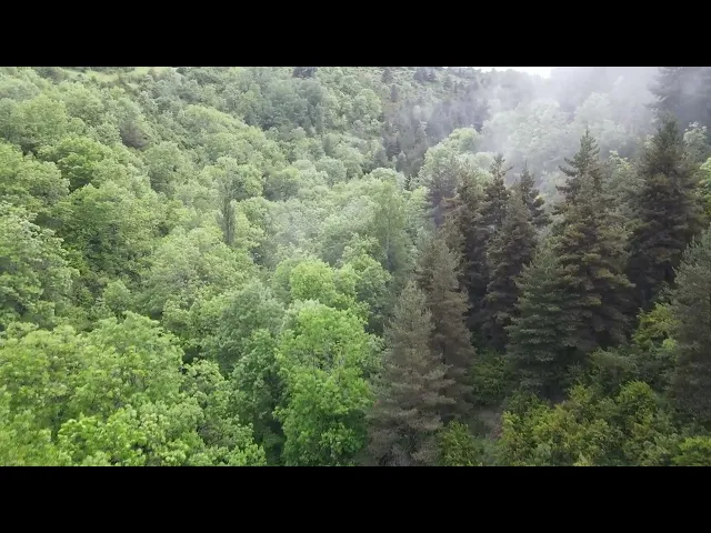⁣يا سَيِّدِي،يامَنْ عَلَيْهِ مُعَوَّلِي، يامَنْ إِلَيْهِ شَكَوْتُ أَحْوالِي