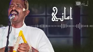 محمد النصري أماني 