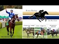 Week 2 Understanding Pedigrees