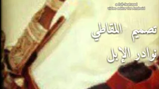 شيلة ماجد الغنام أداء شبل الدواسر و مبارك الودعاني دندنها