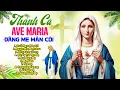 Download Lagu Chuỗi Ngọc Mân Côi - Những Bài Thánh Ca Đức Mẹ Mân Côi Hay Nhất - Xin Mẹ Cứu Giúp Nâng Đỡ Ủi An