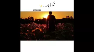 شكرا  يالله     دندنها