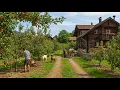 Download Lagu How do people live in Swiss Alpine villages? Among apple and cherry orchards.