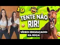 Download Lagu TENTE NÃO RIR: MELHORES VÍDEOS ENGRAÇADOS NA ROÇA - 19🤣 #videosengracados  #tentenaorir #viral