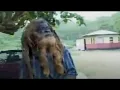 Download Lagu Don't Take me Ganja away