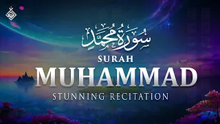 Surah Muhammad سورة محمد Calm Your Heart With Wonderfull Recitation Al Taqwa TV 