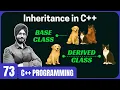 Introduction to Inheritance in C