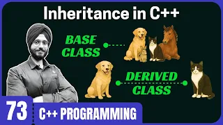 Introduction to Inheritance in C