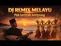 Lagu 🎶PAK KETIPAK KETIPUNG  VERSI  DJ REMIX MELAYU🎶