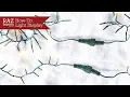 How To Retail Light Display RAZ Imports