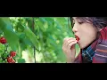 휴식이 필요할 땐 리틀포레스트, 행복한 노래 [Playlist]