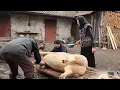 Lagu 5 Days of life in a Carpathian village. Cooking meat, harvesting from the field.