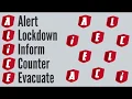 ALICE Training Overview