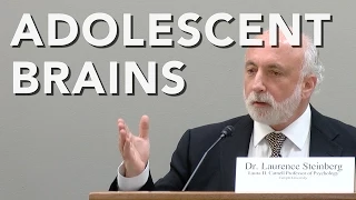 Adolescent Brains and Criminal Justice Reform