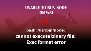 UBUNTU WSL bash node cannot execute binary file Exec format error