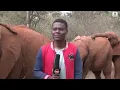 Baby elephant interrupts reporter's piece to camera