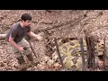 The Search for an Ohio Timber Rattlesnake