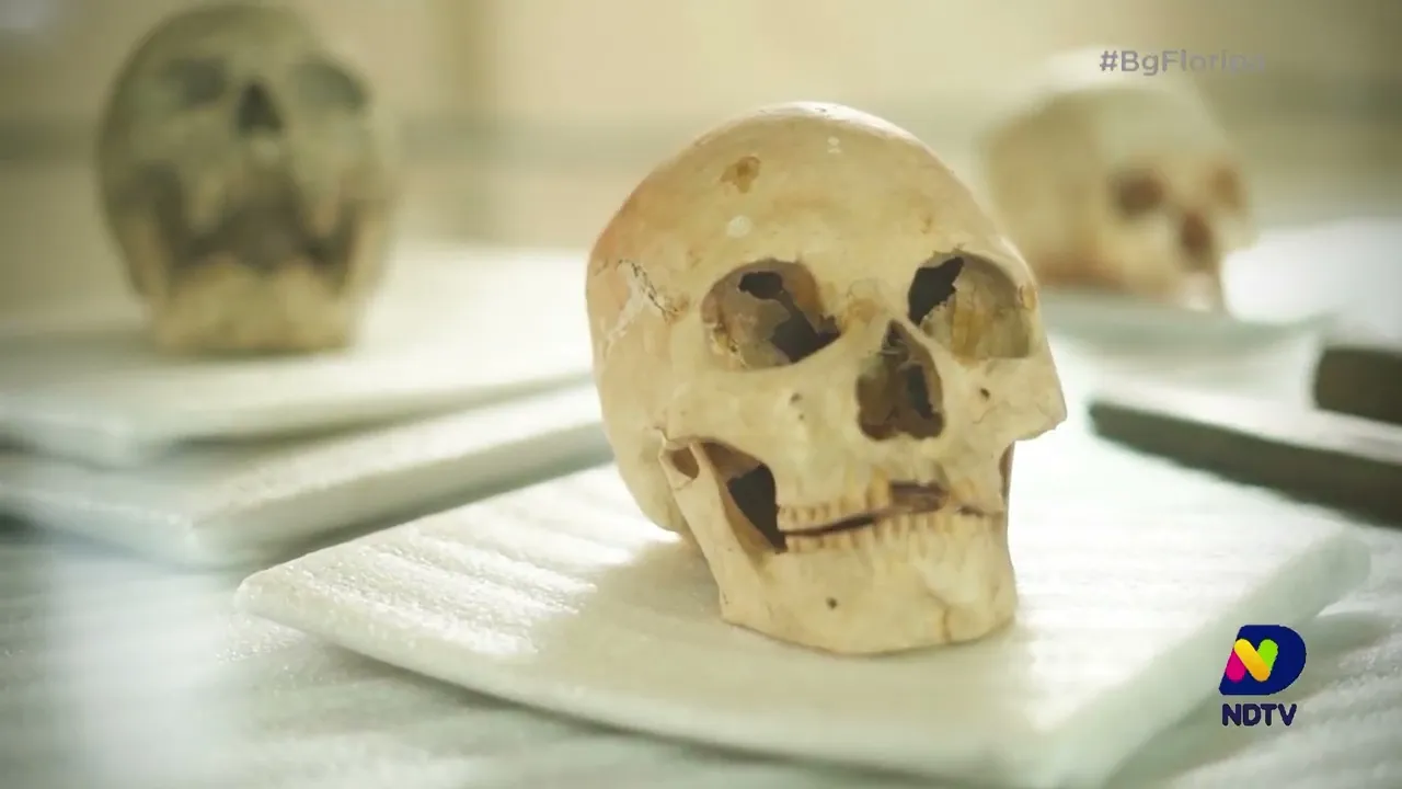 Floripa350 e NDTV: conheça diversas personalidades catarinenses que contribuíram para nossa história