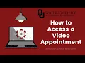 How to Access Appointments in WCO