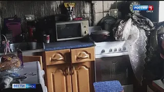Омские пожарные спасли собаку, наглотавшуюся угарным газом