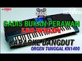 Download Lagu GADIS BUKAN PERAWAN - LEO WALDY || Karaoke dangdut orgen tunggal kn1400