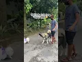 Download Lagu Serba - serbi punya 40 anjing pom