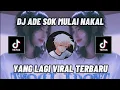 Download Lagu DJ ADE SOK MULAI NAKAL SLOW || VIRAL TERBARU TIKTOK
