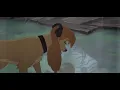 Download Lagu The fox and the hound 2 sad scene