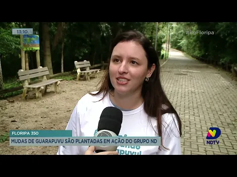 Mudas de guarapuvu são plantadas em ação do grupo ND em Florianópolis