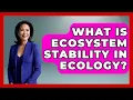 What Is Ecosystem Stability In Ecology - Explaining Ecology