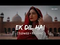 Ek Dil Hai (Slowed + Reverb) | Alka Yagnik, Kumar Sanu | Ek Rishtaa | SR Lofi
