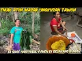 Download Lagu EMAK ATIM MASAK UNGKUSAN TAWON DI SORE HARI HASIL SENDIRI