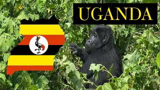 VLOG 18 Jet Set | Penetrating the Impenetrable Forest