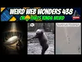 Download Lagu weird web wonders 438