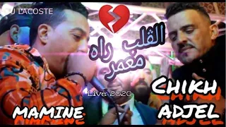                             الڨلب راه معمر                                  دندنها