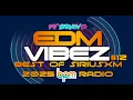 EDM Vibez 12 BPM SiriusXM Radio s Best Dance Tracks of 2025