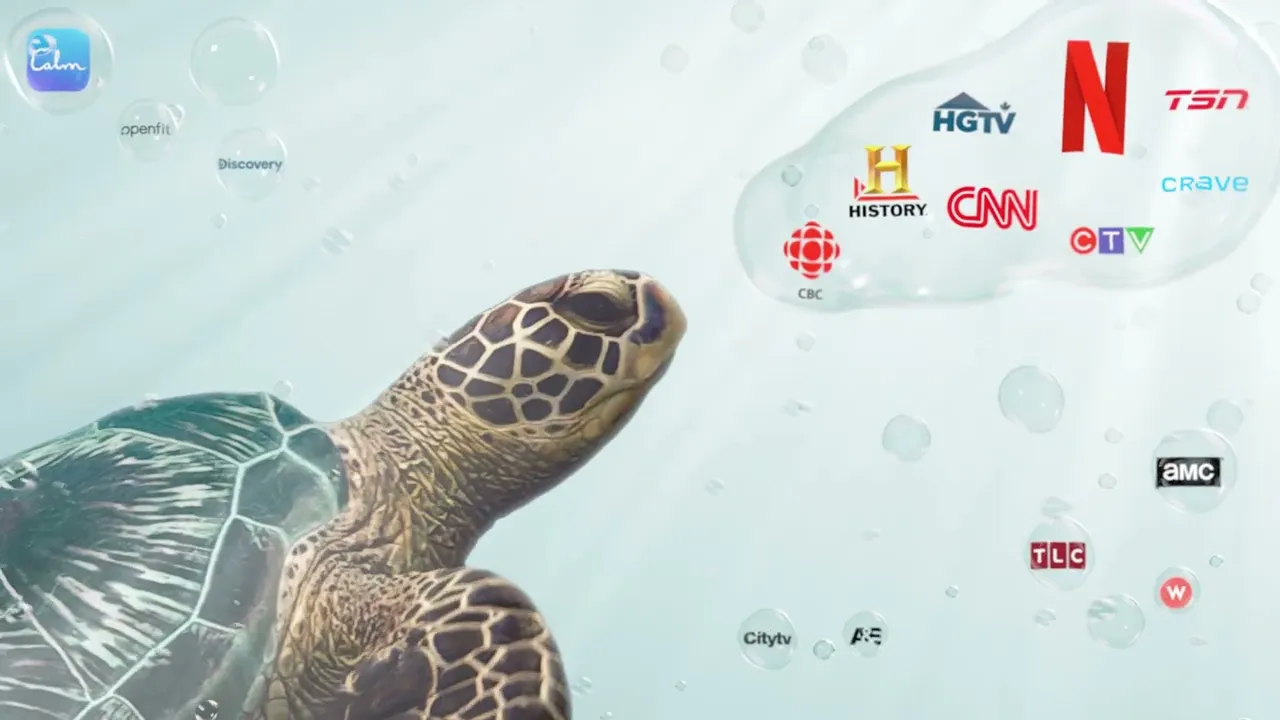 Optik Facebook advertising video