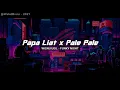 Melodi Tung Tung!!! Dj Papa Liat x Pale Pale - Wisnu Ugil (FunkyNight) Nwrmx2021