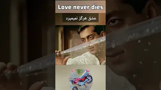 ۱۳ سپتامبر ۲۰۲۵ دندنها