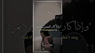 Mockingbird الطائر المحاكي مترجم 