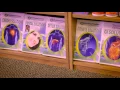 Natural Options Massage Wellness Center - Grove City