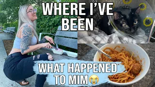 Day In The Life Where I ve Been What Happened To Mim