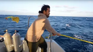 I CANT BELIEVE I AM NOW A BUSINESS OWNER!! – (Episode 270)