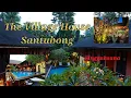 Download Lagu Village House Santubong, The Great Escape