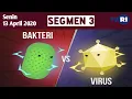 Lagu BAKTERI VS VIRUS MANA YANG LEBIH MEMATIKAN? | BELAJAR DARI RUMAH BERSAMA TVRI