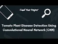 Tomato Plant Disease Detection Using Convolutional Neural Network CNN