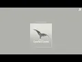 comfort crowd || conan gray | sped up